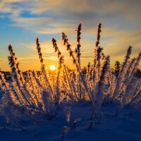 Sonne und kalte Luft erwarten die Meteorologen zum Wochenbeginn. (Archivbild) - Foto: Patrick Pleul/dpa