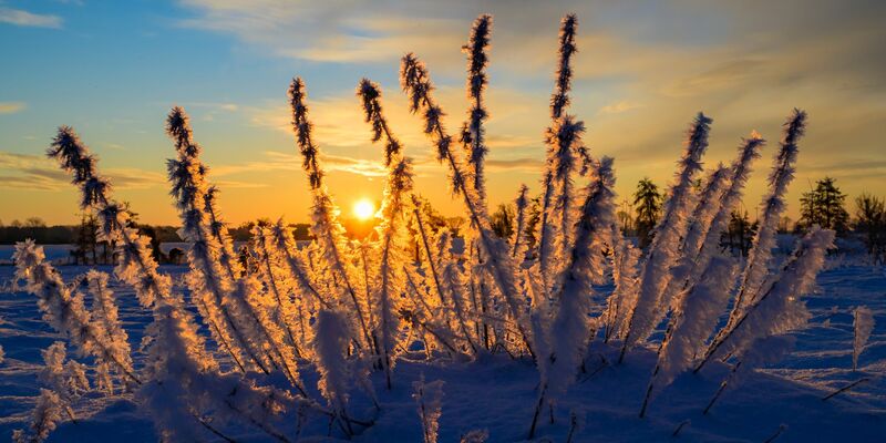 Sonne und kalte Luft erwarten die Meteorologen zum Wochenbeginn. (Archivbild) - Foto: Patrick Pleul/dpa
