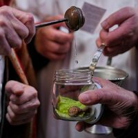 Vor allem Hunde und Katzen werden von ihren Haltern zur Segnung vor der Kirche San Antón in Madrid gebracht. - Foto: Manu Fernandez/AP/dpa