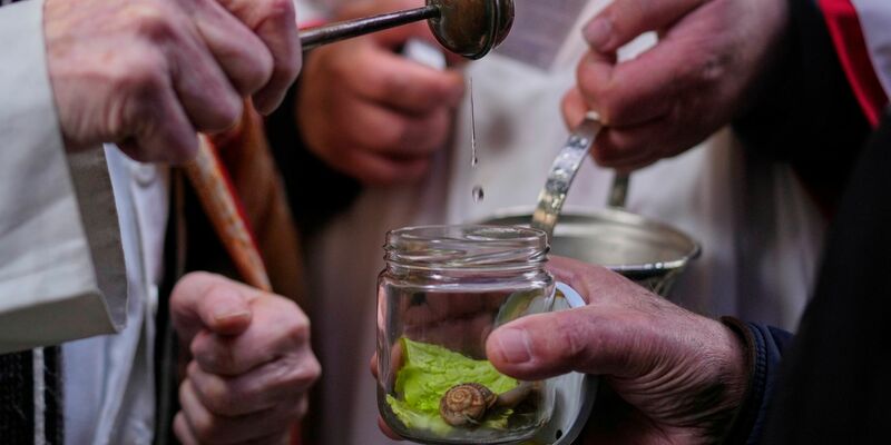 Vor allem Hunde und Katzen werden von ihren Haltern zur Segnung vor der Kirche San Antón in Madrid gebracht. - Foto: Manu Fernandez/AP/dpa