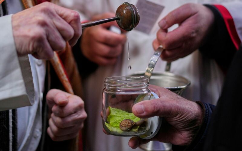 Vor allem Hunde und Katzen werden von ihren Haltern zur Segnung vor der Kirche San Antón in Madrid gebracht. - Foto: Manu Fernandez/AP/dpa