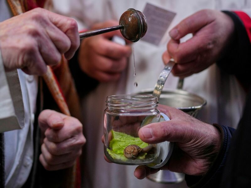Vor allem Hunde und Katzen werden von ihren Haltern zur Segnung vor der Kirche San Antón in Madrid gebracht. - Foto: Manu Fernandez/AP/dpa
