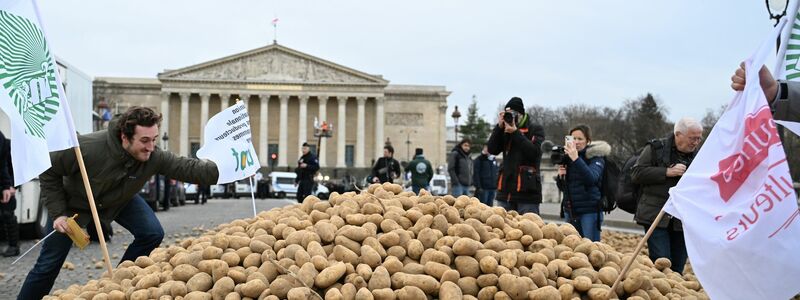Europäische Bauern fürchten einen harten Preiskampf mit den südamerikanischen Farmern. (Archivbild) - Foto: Emma Da Silva/AP/dpa