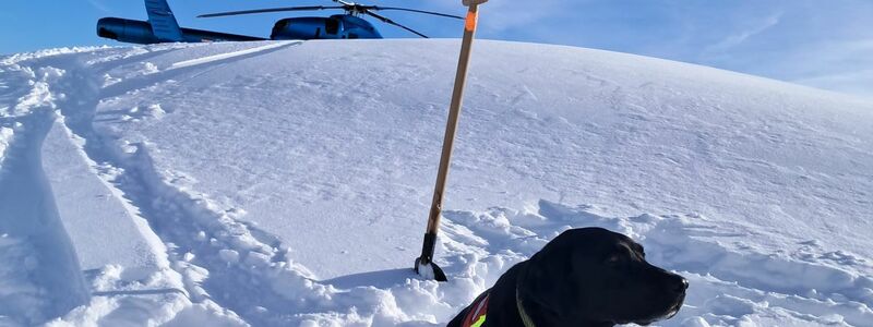Auch Hunde waren nach dem Lawinenabgang am Finsterkopf im Einsatz.  - Foto: Unbekannt/HUNDESTAFFEL BERGRETTUNG/APA/dpa