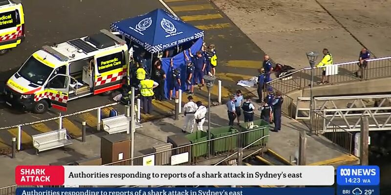 Nach einem mutmaßlichen Haiangriff ist ein Junge in kritischem Zustand. - Foto: Supplied/AUSTRALIAN BROADCASTING CORPORATION (ABC) via AAP Image/dpa