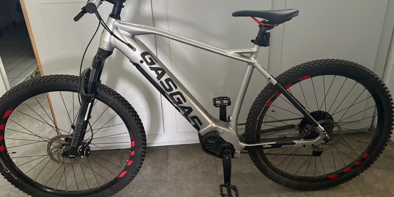 BPOL-KL: Geschädigtenaufruf: Graues E-Mountainbike sichergestellt - Foto: presseportal.de