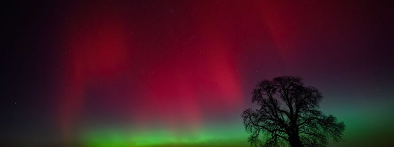 Polarlichter leuchten am Nachthimmel über der Landschaft im östlichen Brandenburg. - Foto: Patrick Pleul/dpa