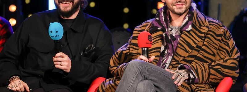 Der frühe Ruhm war für die Kaulitz-Zwillinge nicht immer einfach.  - Foto: Jan Woitas/dpa-Zentralbild/dpa