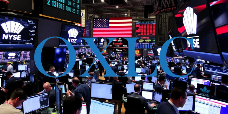 Oxford Lane Capital: Can Its Generous Payouts Withstand Market Pressure? - Foto: über boerse-global.de