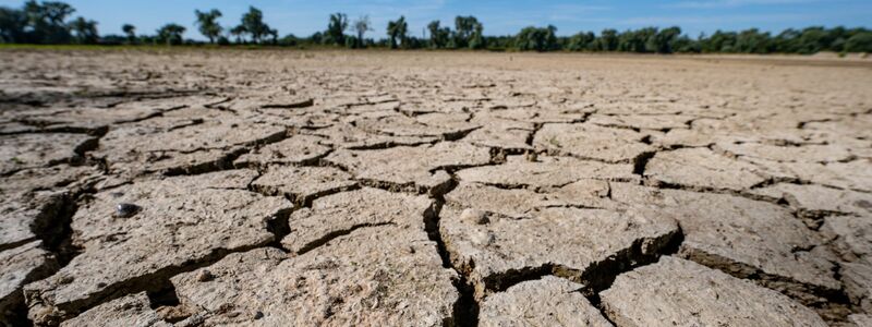 Der Bericht stuft Europa nicht pauschal als wasserbankrott ein, betont aber globale Verflechtungen.  - Foto: Armin Weigel/dpa