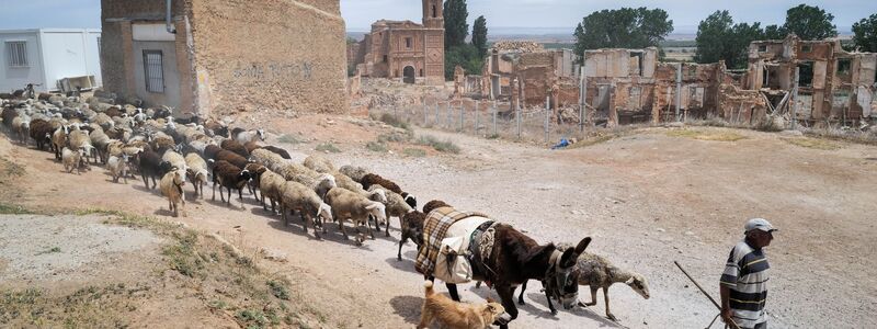Forscher empfehlen etwa strengeren Schutz von Feuchtgebieten, Begrenzung der Grundwasserentnahme und den Umbau wasserintensiver Wirtschaftssektoren. - Foto: Fabián Simón/EUROPA PRESS/dpa