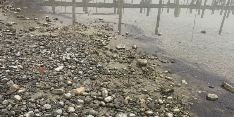 FW Allensbach: OEW2 Bodensee Öl Uferbereich - Foto: presseportal.de