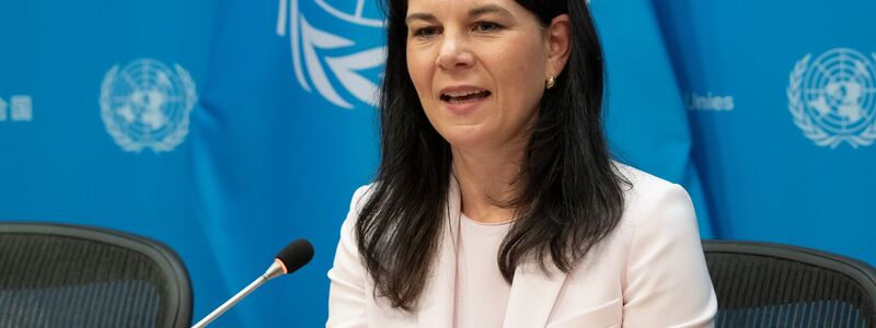 Baerbock zeigt keine Begeisterung für Trumps Vorstoß. - Foto: Evan Schneider/UN/XinHua/dpa
