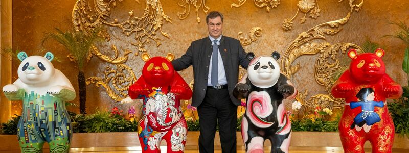 Auch Ministerpräsident Markus Söder (CSU) hat Gefallen an Pandas gefunden. (Archivbild) - Foto: Peter Kneffel/dpa