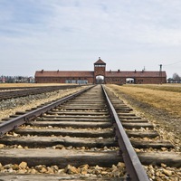 Programmangebote rund um den Holocaust-Gedenktag 2026 - Foto: presseportal.de