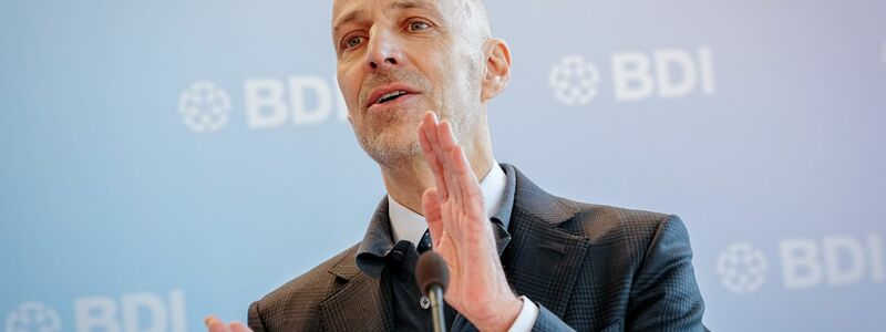 BDI-Präsident: Auch Industrie muss Hausaufgaben machen.  - Foto: Kay Nietfeld/dpa