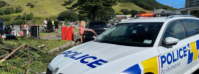 Die Einsatzkräfte suchten nach mehreren Vermissten. - Foto: STUFF/STUFF/AP/dpa