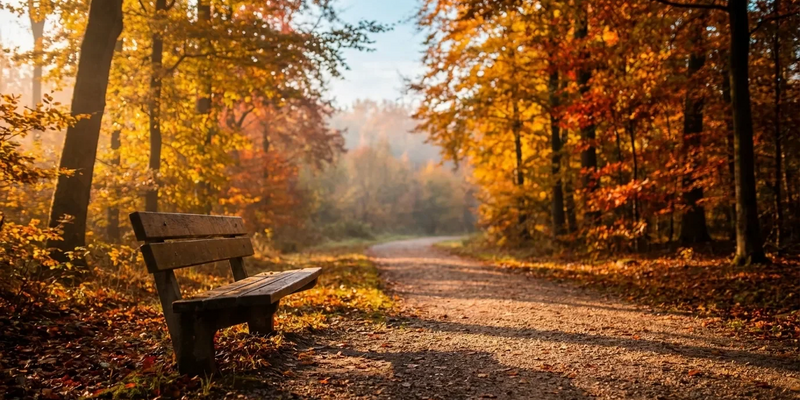 Lebensstil schützt Gehirn besser als jede Pille - Foto: über boerse-global.de