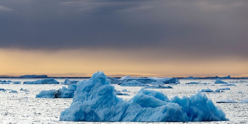 Die Dokumentation von Werner Herzog, in der der Pinguin vorkommt, ist aus dem Jahr 2007. (Archivfoto) - Foto: John Weller/dpa