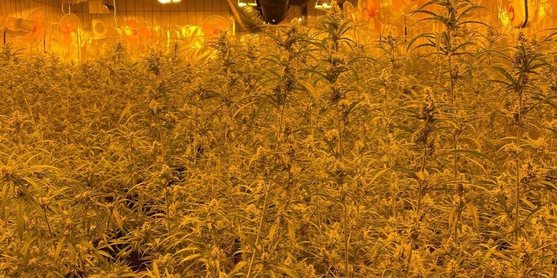 POL-UN: Unna/Holzwickede - Nachtrag zu der gestrigen gemeinsamen Pressemeldung der Staatsanwaltschaft Dortmund und der Kreispolizeibehörde Unna - Foto: presseportal.de