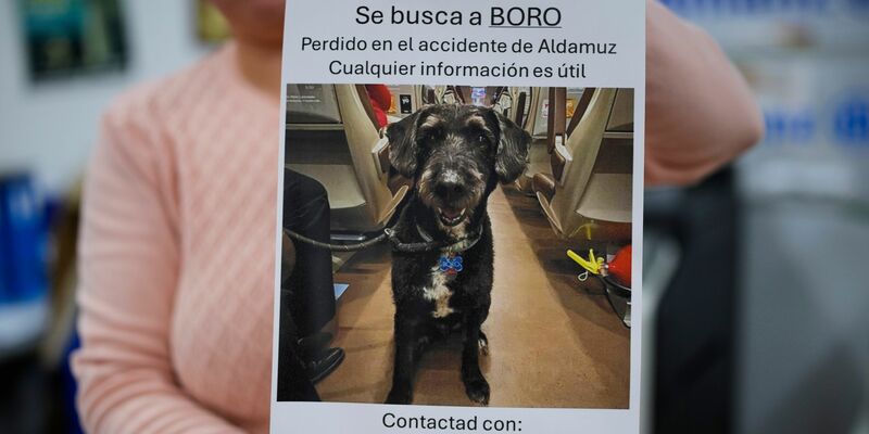 Über diese Familienzusammenführung freut sich ganz Spanien. - Foto: Manu Fernandez/AP/dpa