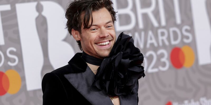 Stattet auf seiner geplanten Welttournee Deutschland keinen Besuch ab: Harry Styles. (Archivbild) - Foto: Vianney Le Caer/AP/dpa