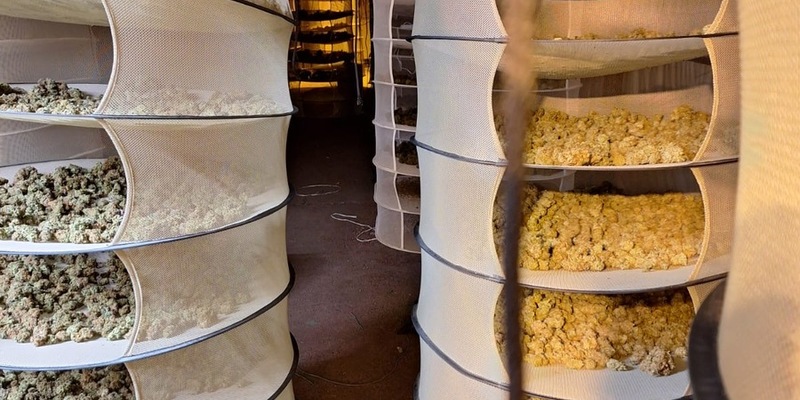 LPI-NDH: Schlag gegen die Drogenkriminalität im Eichsfeld - Foto: presseportal.de