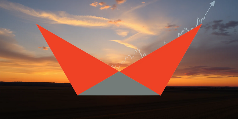 Viking Therapeutics: Un escenario de luces y sombras para la acción - Foto: über boerse-global.de