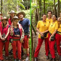 Die Bewohner des Dschungelcamps wohnen seit dem zweiten Tag alle zusammen.  - Foto: Patrick Heffels/RTL/dpa