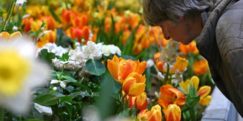 Die Besucherzahl auf der diesjährigen Woche übertraf die Erwartungen deutlich. (Archivbild) - Foto: Elisa Schu/dpa