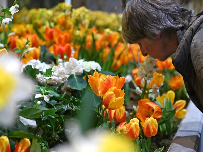 Die Besucherzahl auf der diesjährigen Woche übertraf die Erwartungen deutlich. (Archivbild) - Foto: Elisa Schu/dpa