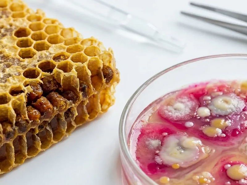 Fermentierter Bienenpollen: Das neue Superfood für den Darm - Foto: über boerse-global.de