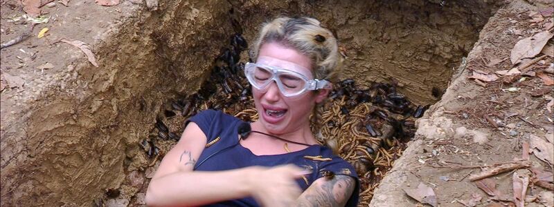 Und wieder gab es keine Sterne für die Camper. - Foto: RTL/dpa