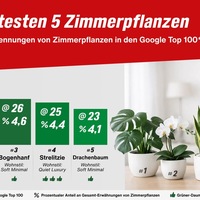 Zimmerpflanzen Trends 2026: Diese Pflanzen sind besonders beliebt /toom klärt auf: warum für gesundes Wachstum das Zusammenspiel aus Pflanze, Erde und Pflege entscheidend ist - Foto: presseportal.de