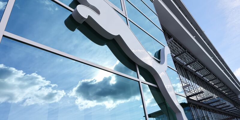 Die Anteile an Puma kommen von einer französischen Milliardärsfamilie. (Symbolbild)  - Foto: Daniel Löb/dpa