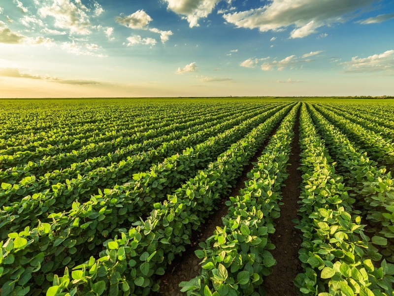 Lidl belegt in Deutschland erneut die Spitzenposition auf der Superlist Umwelt Europa - Deutschland 2026 / Klima- und Proteinstrategie als Erfolgsfaktor in der Einzelhandelsstudie - Foto: presseportal.de