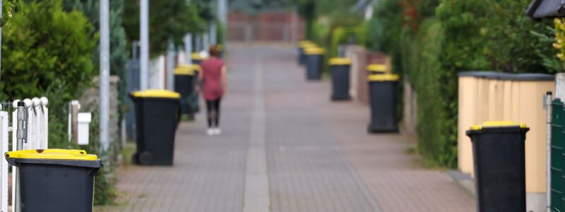 Die Müllabfuhr kommt, also raus mit den Gelben Tonnen! - Foto: Jan Woitas/dpa