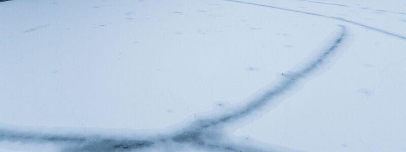 Für die Fische wirkt das Eis nach Aussage eines Experten «beruhigend». - Foto: Jens Büttner/dpa