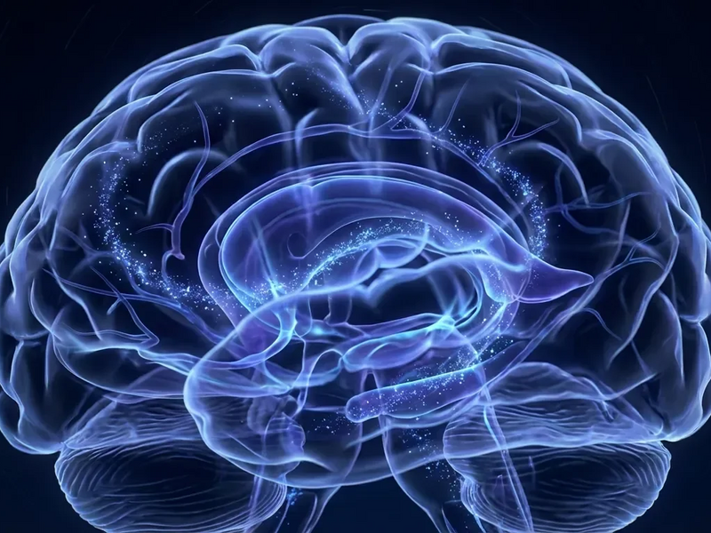 Schlaf reinigt das Gehirn und schützt vor Alzheimer - Foto: über boerse-global.de