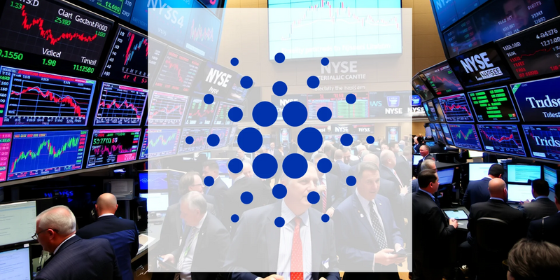Major Investors Accumulate Cardano Amid Price Weakness - Foto: über boerse-global.de