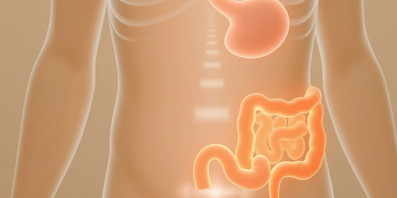 Gastrokolischer Reflex: Warum der Drang nach dem Frühstück kommt - Foto: über boerse-global.de