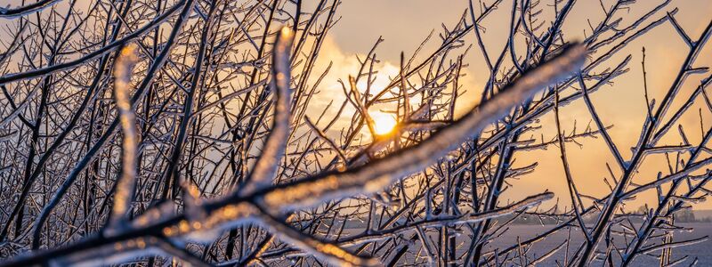 Das winterliche Wetter hält in vielen Regionen an.  - Foto: Patrick Pleul/dpa