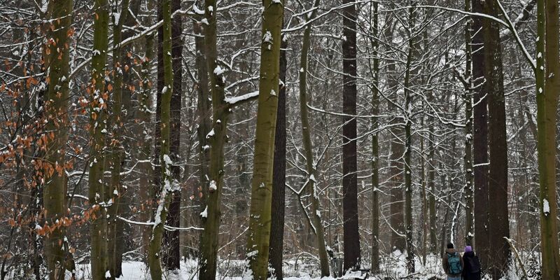 Auch am Donnerstag kann es gebietsweise schneien. - Foto: Shireen Broszies/dpa