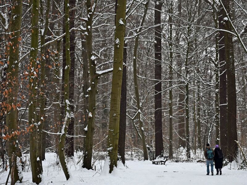 Auch am Donnerstag kann es gebietsweise schneien. - Foto: Shireen Broszies/dpa