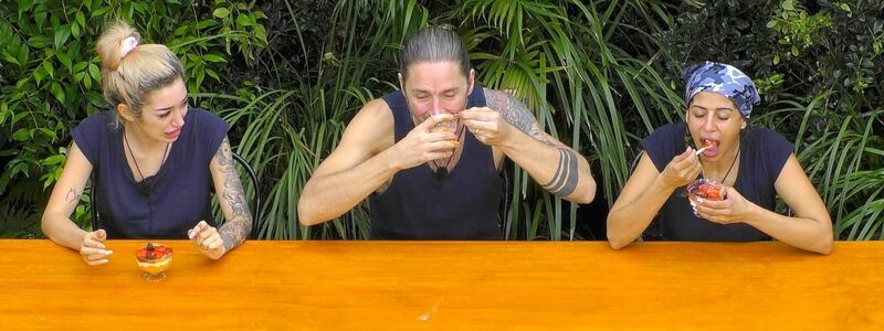 Kamelhirn und Kuhurin standen auf der Speisekarte. - Foto: RTL/dpa