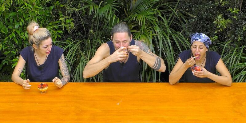 Kamelhirn und Kuhurin standen auf der Speisekarte.  - Foto: RTL/dpa