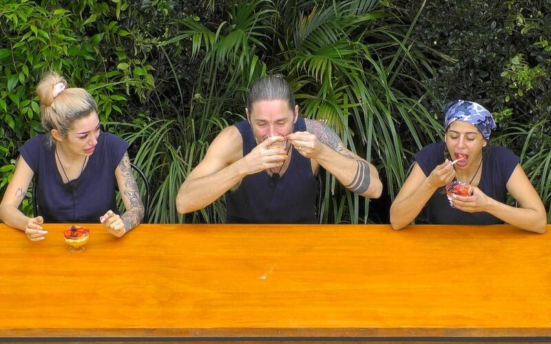 Kamelhirn und Kuhurin standen auf der Speisekarte.  - Foto: RTL/dpa