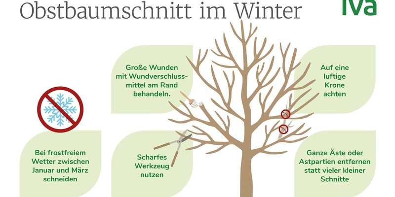 Winterschnitt bei Obstbäumen: Jetzt die Grundlage für gesunde Bäume und gute Ernten schaffen - Foto: presseportal.de