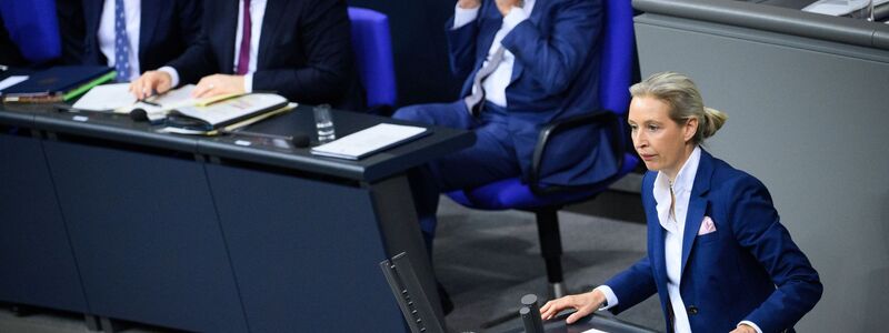 Weidel will Außenpolitik an nationalen Interessen ausrichten. - Foto: Bernd von Jutrczenka/dpa