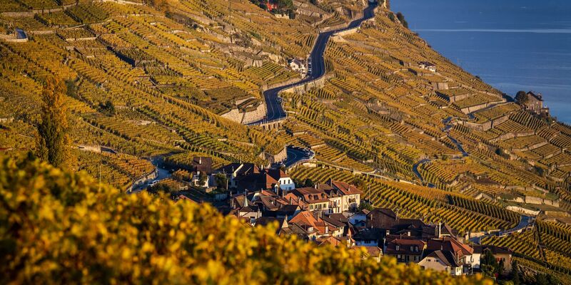Der Kanton Waadt ist durch Weinanbau geprägt. (Archivbild) - Foto: Jean-Christophe Bott/KEYSTONE/dpa
